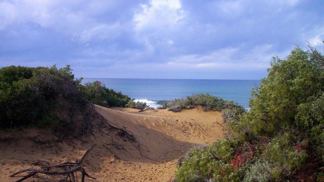 San Vincenzo Parco Naturale di Rimigliano