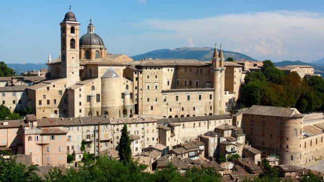 Urbino
