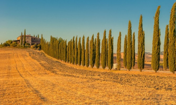 Le colline intorno a Pisa