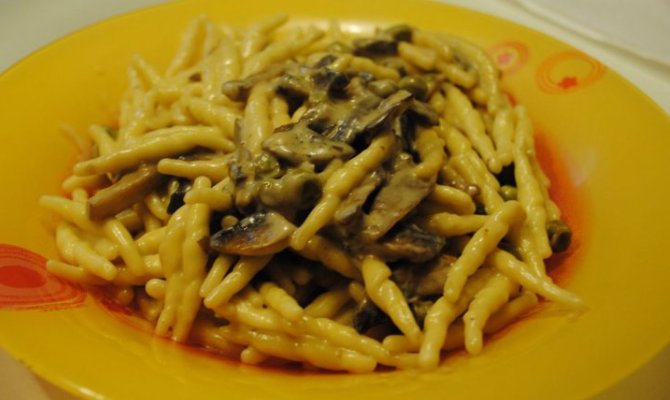 Olio Colline di Romagna Dop