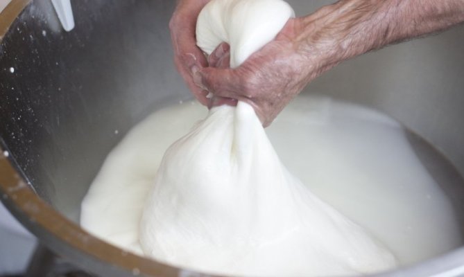 Mozzarella di Bufala campana foto