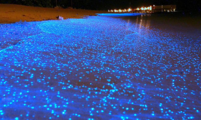 Vaadhoo, spiaggia, Maldive