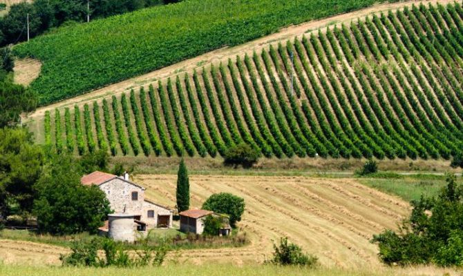 umbria,fattoria,campagna