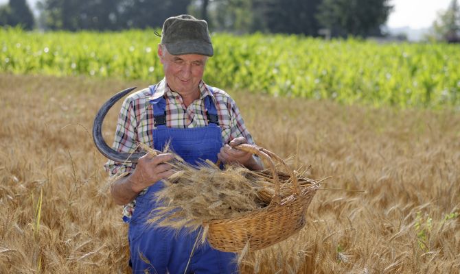 Lavorazione paglia