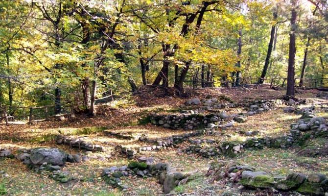 spina verde como scavi archeologici natura alberi