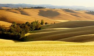 Colline pisane: tour dei sapori in 4x4