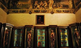 Il museo dimenticato di Bologna