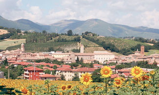 Panorama di matelica