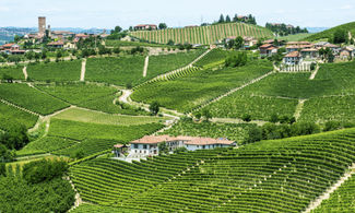 Langhe: maratona al gusto di tartufo e Barbaresco