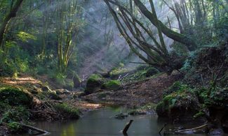 Parco di Veio, itinerario da fiaba verso la cascata dell'Inferno