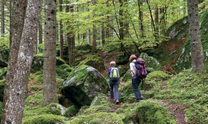 Foresta dei Bagni, in Valmasino