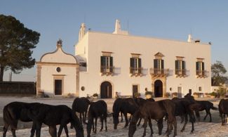 Puglia, la Masseria Tagliente nel cure delle Murge