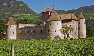 Il castello tra i vigneti