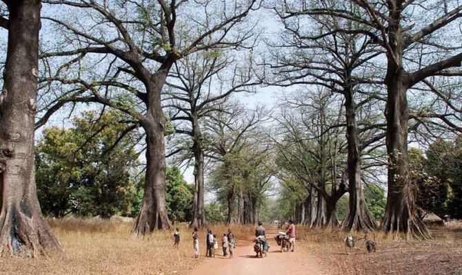 Fouta Djalon Guinea - l'Africa in bicicletta