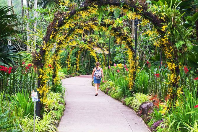 4 Giardini botanici di Singapore