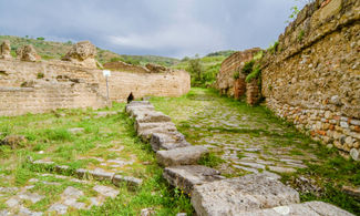Scavi Velia