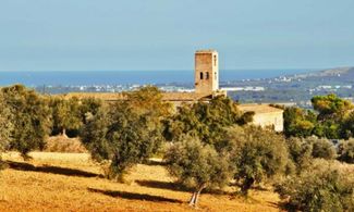 Dalle Colline Teramane l'olio dei Petruzi