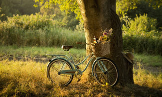 Tour in bici lungo le strade del Chianti