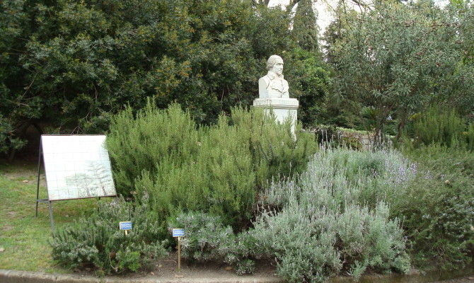 orto botanico napoli natura piante busto statua