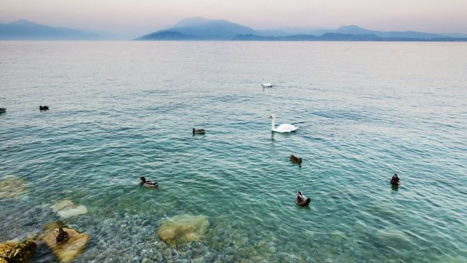 Lago di Garda