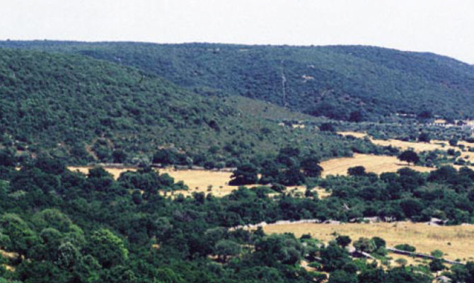 Murge, panorama, colline, terreno, Lucania, Basilicata