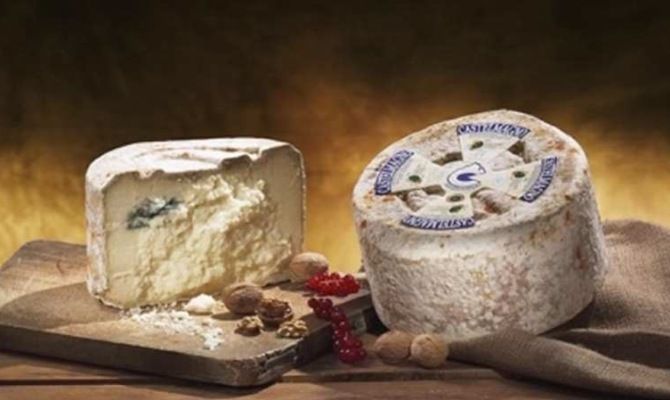 Castelmagno: un formaggio in tribunale