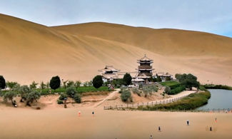 Video: le 10 oasi nel deserto più belle del mondo