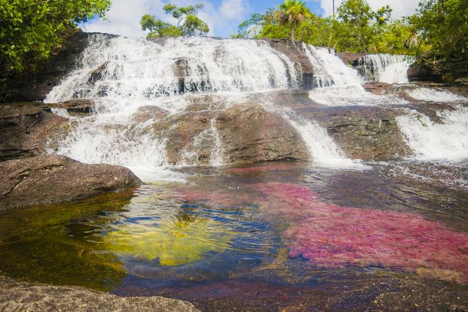 Avventura: Caño Cristales River, Colombia