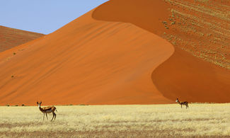 Namibia: visitare i parchi più belli