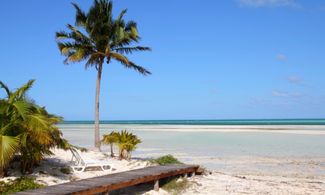 Alla scoperta di Cayo Cochinos, l’isola dei Famosi