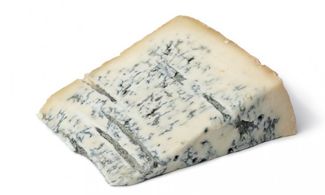 gorgonzola dop foto