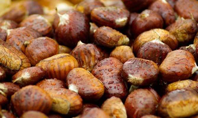 Castagne