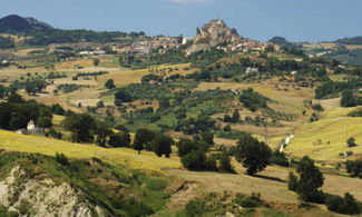 Molise, l'olio celebrato dai poeti romani