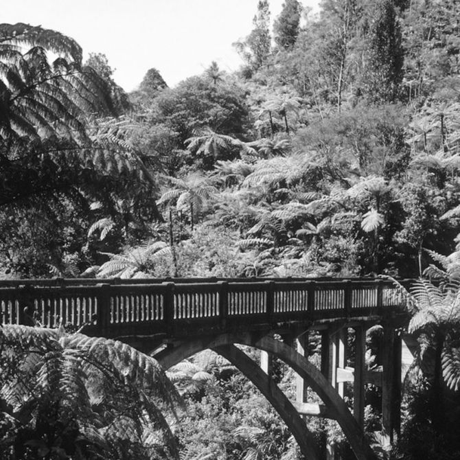Bridge to nowhere &amp;#45; Nuova Zelanda
