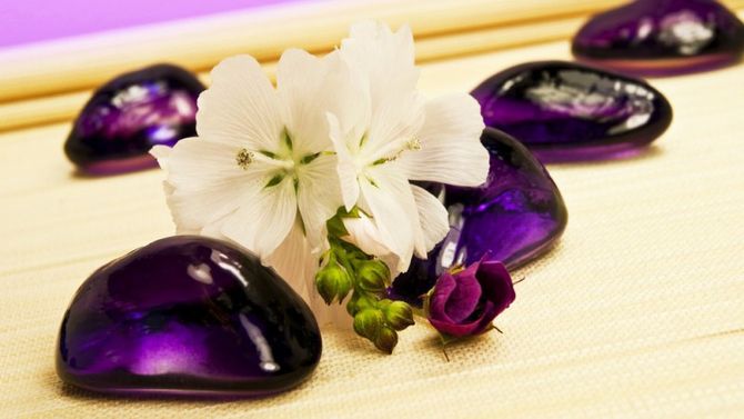 pietre viola fiori di bambu