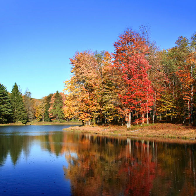 Marte &amp;#45; Pennsylvania