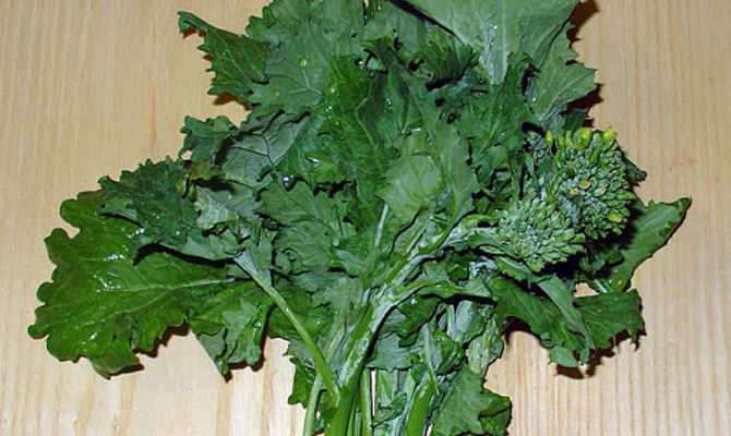 broccoletti cime di rapa friarielli foglie verde verdura