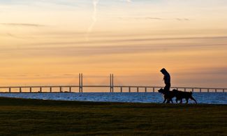 Alba a Malmo