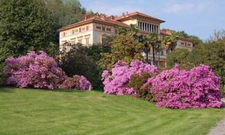 A Vigliano Biellese per immergersi tra colline e libri