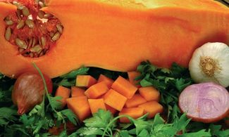 zucca lunga ortaggi cibo verdure cucurbitacea napoli campania