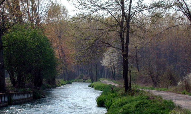 fiume natura italia piemonte gesso stura alberi acqua
