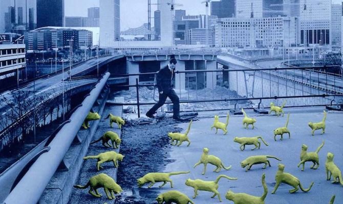 Sandy Skoglund 