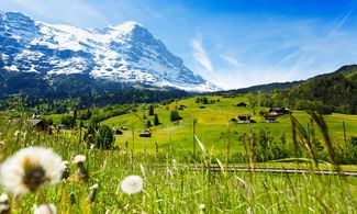 14. Svizzera