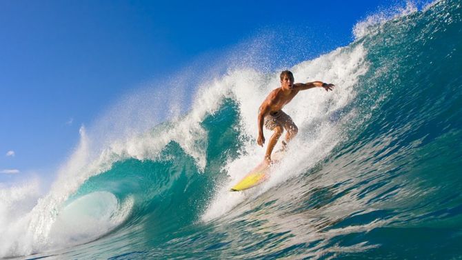 Surf Hawaii