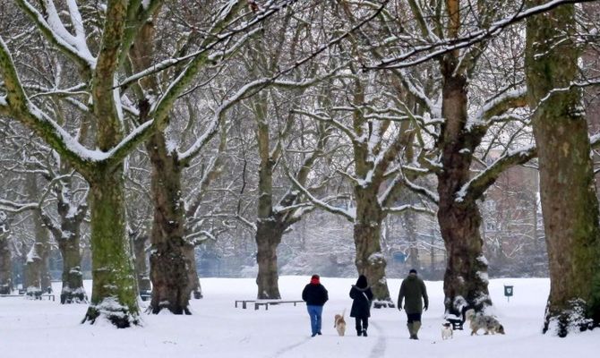 Neve a Londra, parco innevato