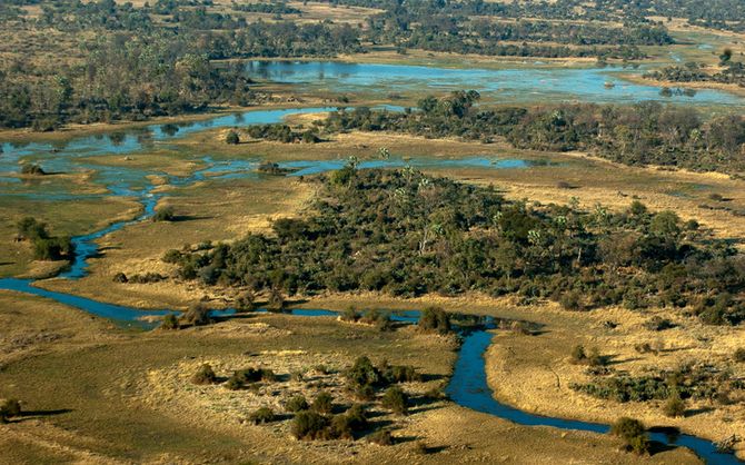 Okavango