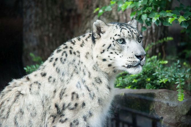 4 Parco Zoologico di Parigi