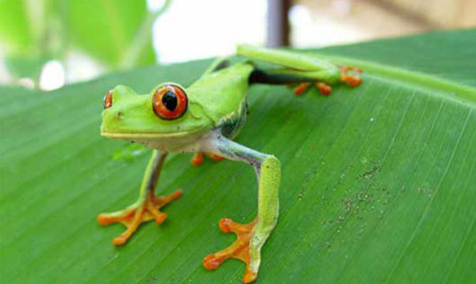 Costa Rica