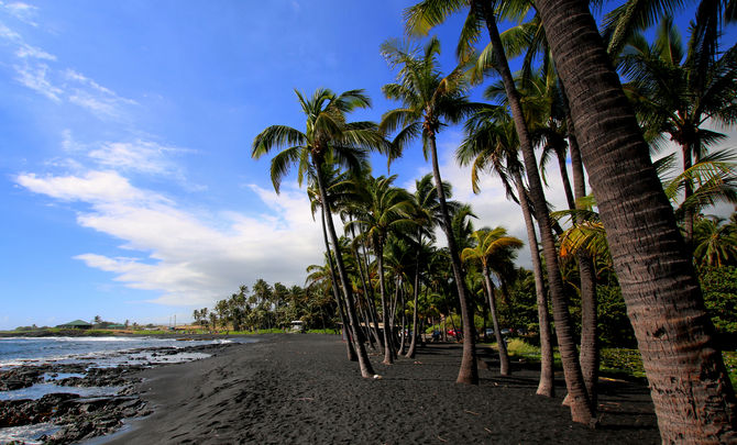 Punalu'u Beach