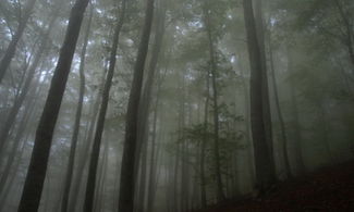 Monte Marzano
